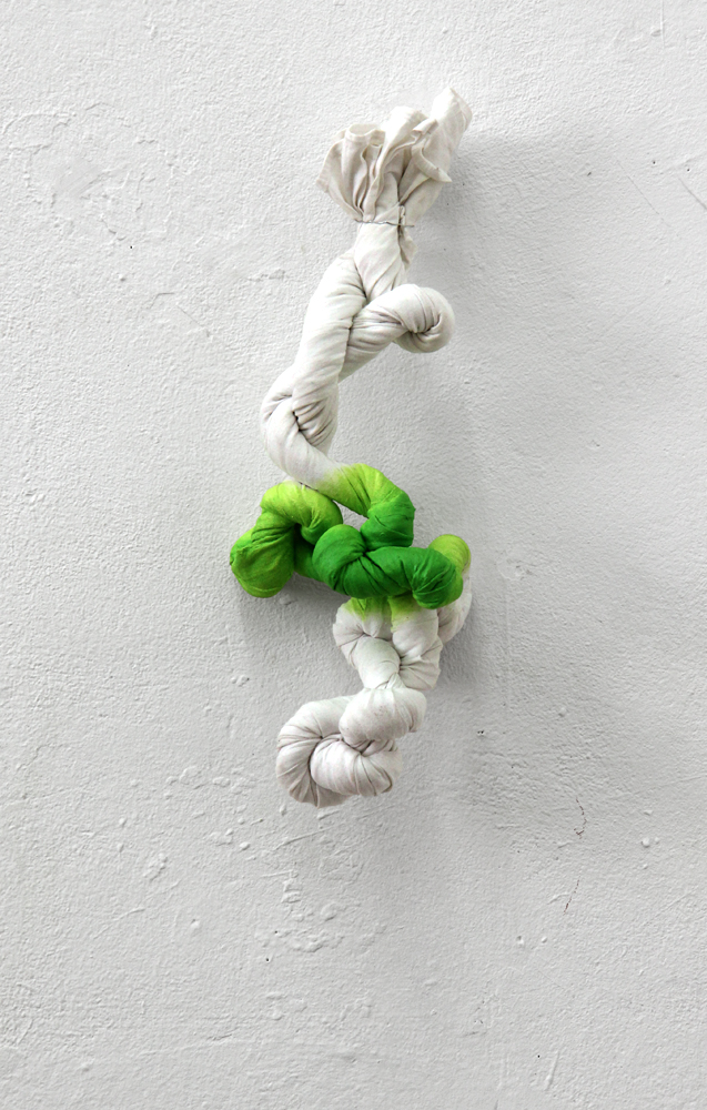 img_6502_hell_beschnittengru%cc%88n_klein_2mb