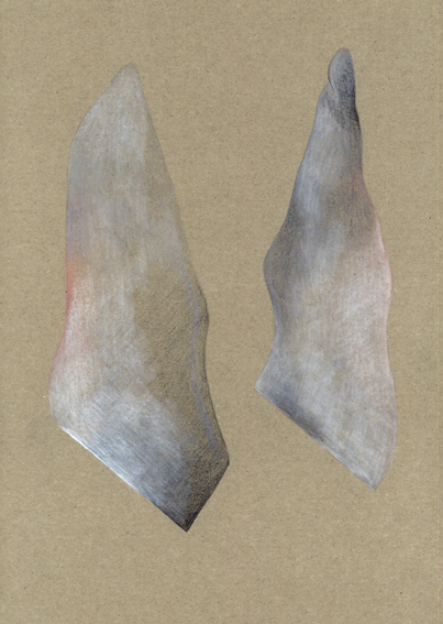 20170510113909_015Kopie_web